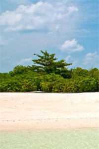 南风解谁意宋知熠沈南意免费小说在线阅读全集完结版免费阅读