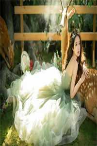 人面桃花长相忆阮雾梨闻砚辞完整版免费在线阅读