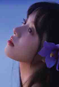 九幽不渡卿孟卿卿谢昭远全集在线阅读小说无删减