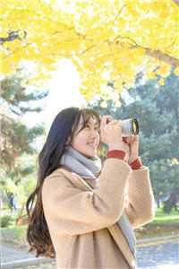 此去经年人未还霍沉洲沈青禾全集小说在线阅读完结版免费阅读