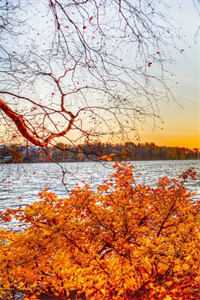 娘娘美艳动人，皇上日日娇宠傅君意郑淑宁小说在线免费阅读无广告