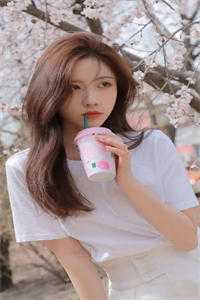 烟火照夜白温南枝沈清宴完结版阅读免费阅读笔趣阁txt