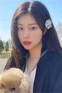 不好！这渣女要虐死了顾迟云云晚晚全文完整版在线免费阅读小说