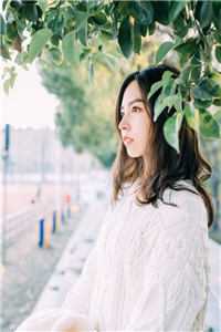 撞坏校花法拉利怎办？在线等，急！李云染叶兮全文免费在线阅读完整版全本