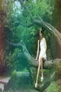 男友的妹妹爱吃醋林婉莹婉莹在线免费阅读听书