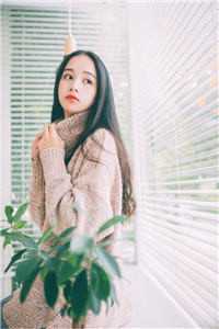 等你许我白头，等我爱意燃尽虞音陆怀瑾最新章节在线阅读