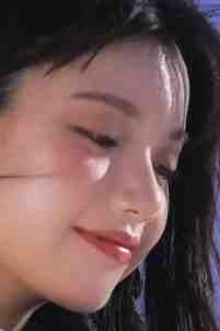 望径风霏月季斯年沈韵许最新章节阅读完结版阅读