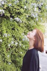 老公偷我积蓄给寡嫂买房后，我杀疯了沈琦夏夏已完结txt小说全本免费在线阅读