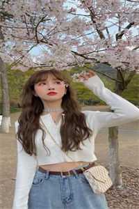 一枕清梦压星河林清梦沈星河全文免费阅读无弹窗大结局