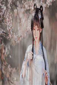 你我至此，终年不遇苏婉司止渊免费小说在线阅读全集