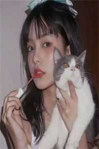 迟冬不赴春沈岁宁陆宴时最新章节免费在线阅读