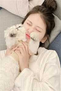 相爱很难离别易散裴清衍江听绾最新章节阅读全章节免费在线阅读