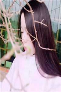 凭着回忆爱你沈栖夏程宴西完结版在线阅读最新章节在线阅读