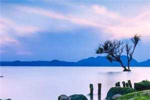 盛景太匆匆宁若曦沈砚舟完整版免费在线阅读完结版免费阅读