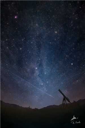 掘了我的坟后，妻子疯了白月光沈枝最新章节在线阅读有声小说