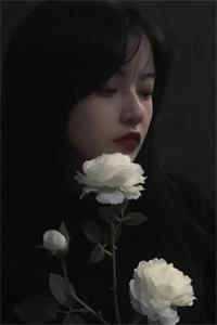 我死遁离开之后，皇帝悔疯了萧铎苏浅浅全章节在线阅读最新章节在线阅读