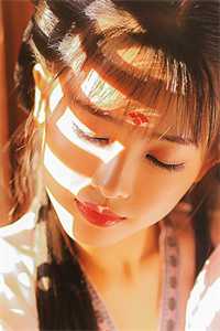 自请下堂的太子妃改嫁后太子悔疯了晏君阑叶秋霜免费阅读笔趣阁txt