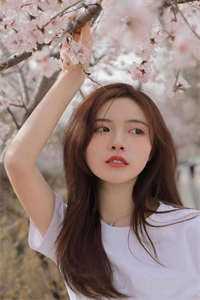 浮灯灿烂一朝沈砚卿梁明昭最新章节免费阅读