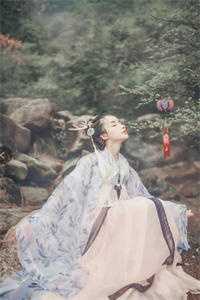 谢尽长安花沈照霜宁砚全本笔趣阁小说在线免费阅读无广告