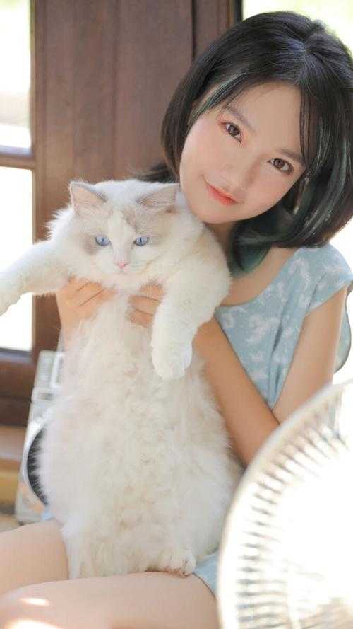 从此风尘尽，归来似净土顾清尘苏小小小说全文免费阅读txt在线阅读