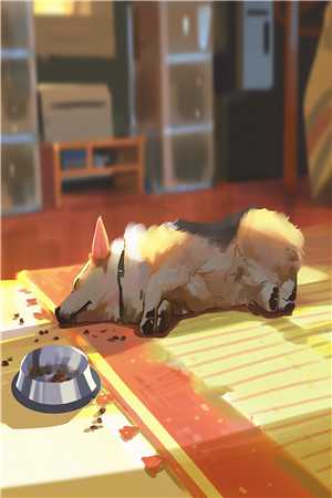 强势婚宠,我成上流真名门封凌江棠笔趣阁小说在线免费阅读无广告弹窗