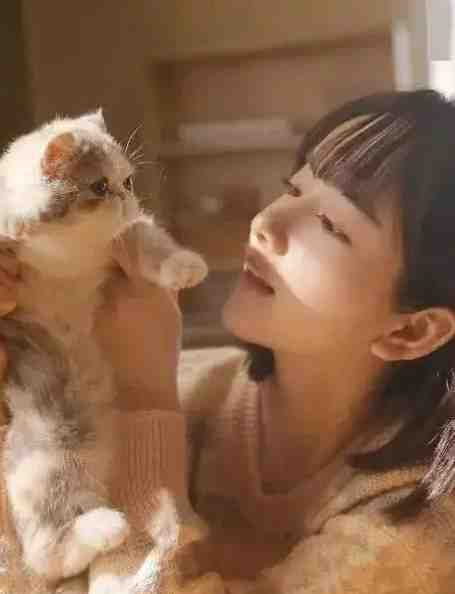 妻子为男助理将我开除，却骂我小肚鸡肠苏轻语许流年完整版免费阅读有声小说