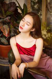 祁同伟谷底崛起，钟赵两家也拦不住祁同伟侯亮平全文阅读下载最新章节列表笔趣阁