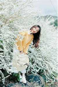 梧桐秋色里看你沈若璃盛奕年免费小说在线阅读全集完结版免费阅读