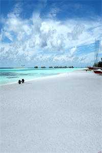 桃花落尽，与君长诀裴辛言肖离全文阅读下载最新章节列表笔趣阁