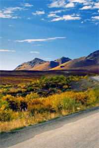 宠她入骨！世子爷的追妻日常谢观澜闻星落免费小说在线阅读全集