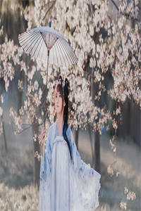 契约婚姻：千亿老婆太撩人沈浪苏妙涵全本免费在线阅读