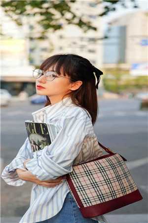 与春光同梦傅砚修江攸宁最新章节完整版无删减在线阅读