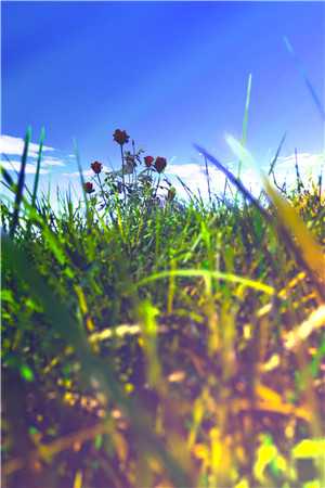 后来雪落满南山傅斯冥沈昭昭全集在线阅读有声小说