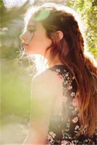 轻烟染日暮乔岁暖晏沉完整版免费阅读已完结小说