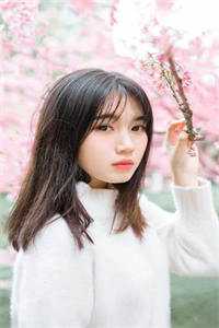 被小狼狗抢人后，周总气疯了叶妩周京淮最新小说免费阅读