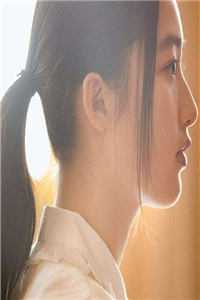 白昼染尽星辰海:爽文免费热门小说txt全章节在线阅读