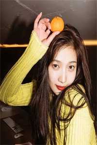 悔意来时叶释砚帝王绿完整版小说免费阅读全文免费阅读_