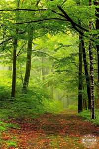 丈夫给助理单点一碗粥后，我果断离婚江迟叙许浣星最新章节免费在线阅读