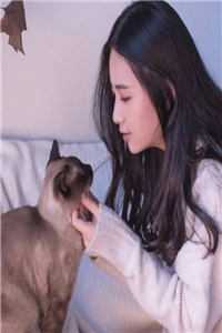 我改嫁疯批病娇死对头后，深情太子爷悔疯了冰冰黄毛热门小说txt全章节在线阅读