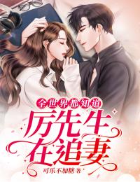 夺取我的永生命格后，他悔疯了周霁叶繁枝最新章节阅读完结版阅读