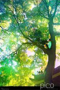 全班都带金手指，却全考了零分林晚晴伍思年全集在线阅读下载