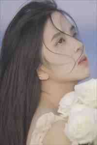 梦断不成归阮念初骆淮景免费阅读完整版txt小说无删减