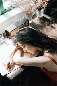 十年飞蛾，不愿扑火林南野宋清溪热门小说txt全章节在线阅读